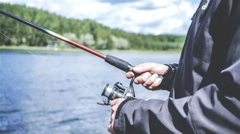 fish sayings|23 Fun fish and fishing idioms (with examples and definitions).